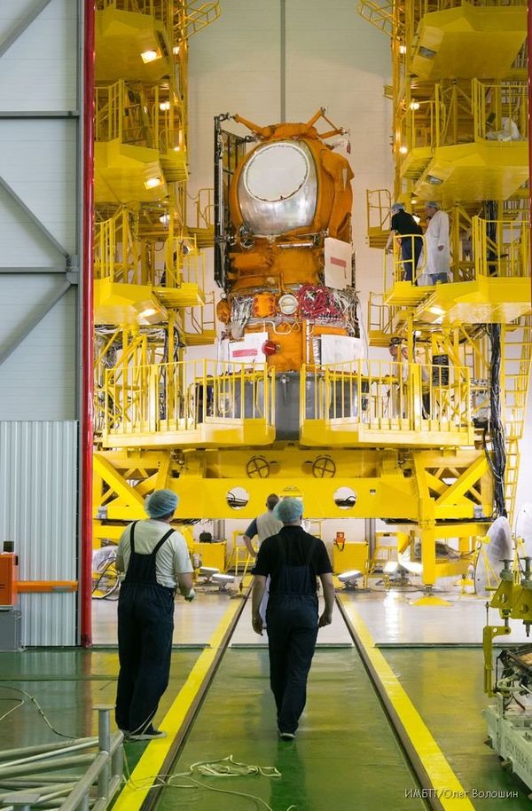 Russian Foton-M biosatellite with geckos, fruit flies, silkworm eggs, mushrooms and seeds of higher plants on board to land September 1 - Sputnik International