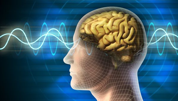 Parkinson's disease is a progressive neurological condition that affects movement - Sputnik International