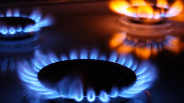 Gas cooker - Sputnik International