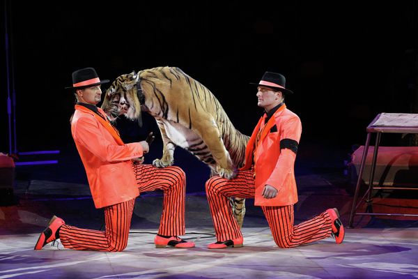 Russia's State Circus Celebrates 95th Anniversary - Sputnik International