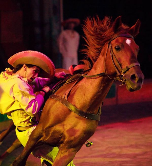 Russia's State Circus Celebrates 95th Anniversary - Sputnik International
