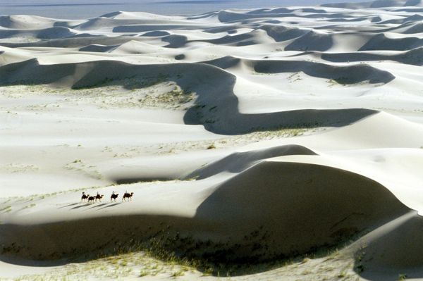 During an excavation in the Gobi desert, a team of Mongolian and American archeologists have made a number of new finds, including dinosaur eggs. - Sputnik International