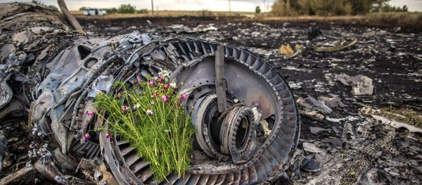 The crash site of the Malaysian Boeing 777 outside Shakhtyorsk, Donetsk Region - Sputnik International