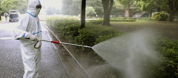 Dengue is a disease transmitted by the bite of a mosquito infected with one of the four dengue virus serotypes - Sputnik International