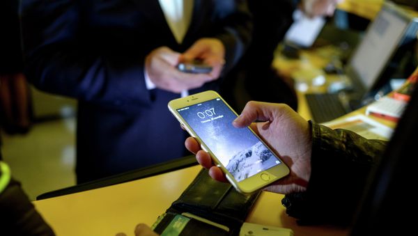 I don't know, although I'm quite experienced in this area, what happens to my personal data when I use it on a smartphone for proving my identity,” said the expert. - Sputnik International