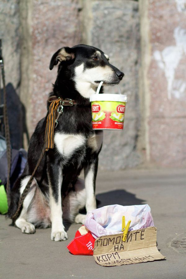Humans of Moscow Humans of Moscow - Sputnik International