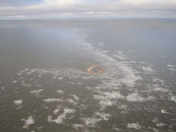 Research vessel “Admiral Vladimirsky” of Russian Baltic Fleet proved Yaya island exists. - Sputnik International