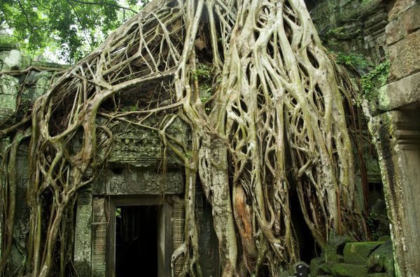 Ten Stunning Sights Where Nature Won Over Humanity - Sputnik International