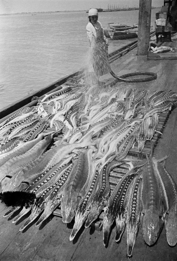 Arkady Shaikhet: Historical Photos 1932-1941 Arkady Shaikhet: Historical Photos 1932-1941 - Sputnik International