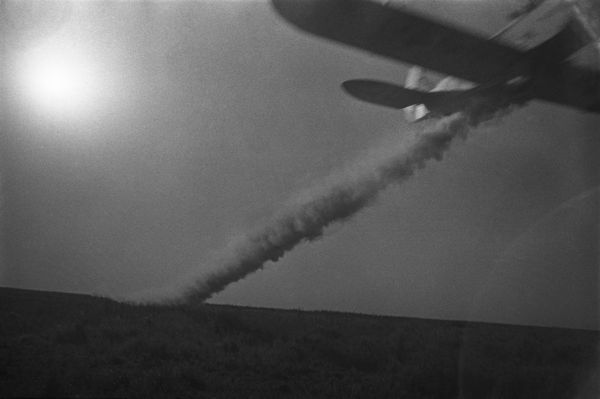 Arkady Shaikhet: Historical Photos 1932-1941 Arkady Shaikhet: Historical Photos 1932-1941 - Sputnik International