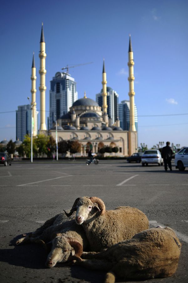 Russian Muslims Celebrate Eid al-Adha, One of the Greatest Islamic Holidays Russian Muslims Celebrate Eid al-Adha, One of the Greatest Islamic Holidays - Sputnik International