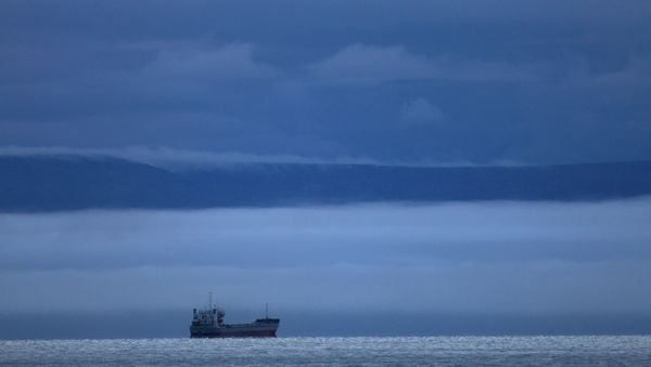 The Chinese NA NA 2 ship in distress has anchored near Sakhalin Island, awaiting large fishing refrigerator trawler Urumpet and rescue boat Irbis. - Sputnik International