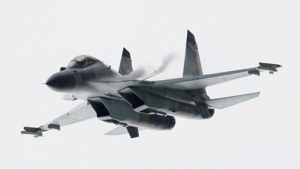 A MiG-29 SMT fighter jet - Sputnik International