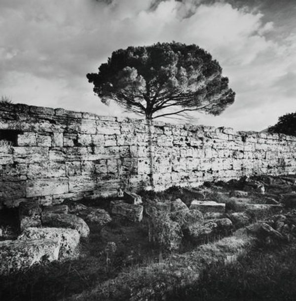 Facts and Fiction: Modern Photography From Banks Private Collection - Sputnik International