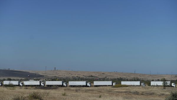 Russia plans to send up to 3,000 metric tons of humanitarian aid to Ukraine's southeastern regions. Russia plans to send up to 3,000 metric tons of humanitarian aid to Ukraine's southeastern regions. - Sputnik International
