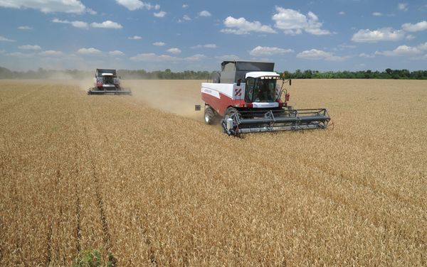 Russian agricultural workers will soon strengthen their positions in domestic market, and also strengthen their international competitive position - Sputnik International