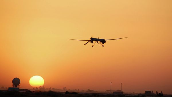 An MQ-1 Predator - Sputnik International