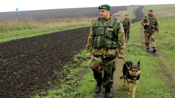 Poroshenko says that Ukraine is preparing to open border crossings on the eastern border with Russia - Sputnik International