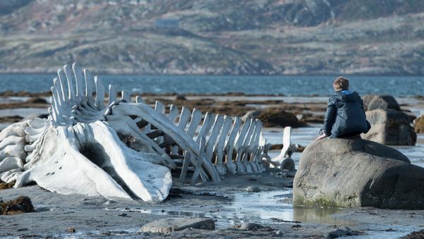 Leviathan, a movie directed by Russian Andrei Zvyagintsev, has won the London critics award in the category Best Foreign Language Film. - Sputnik International