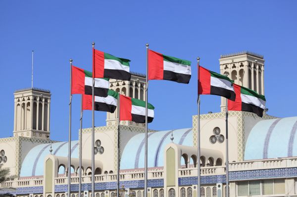 Fifteen alleged members of the al-Nusra Front and Ahrar ash-Sham Islamist organizations are facing the death penalty in the United Arab Emirates (UAE). - Sputnik International