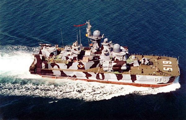 RIA Novosti, Sergey Petrosyan  - Sputnik International