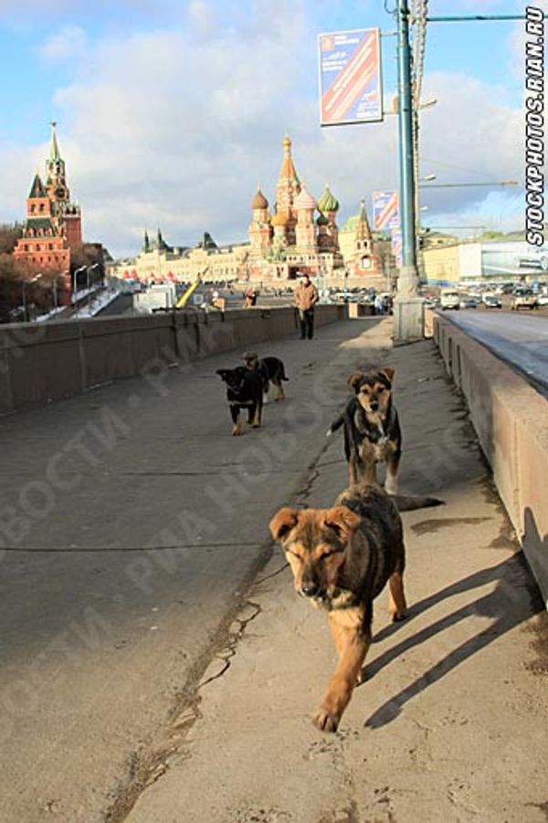 RIA Novosti, Mikhail Fomichev RIA Novosti, Mikhail Fomichev - Sputnik International